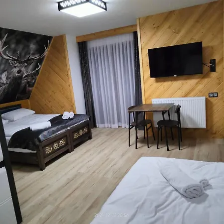 Bafijowka Guest house *